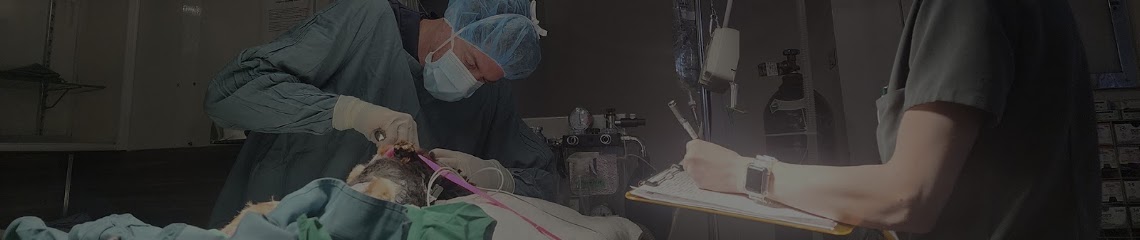 Vancouver Veterinary Hospital